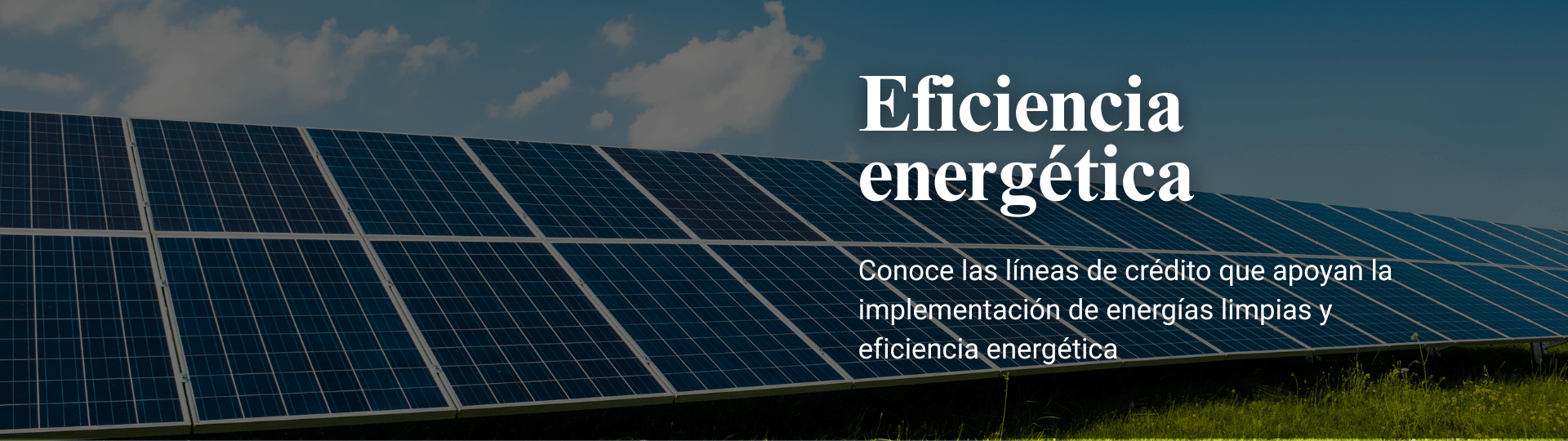 findii energia solar